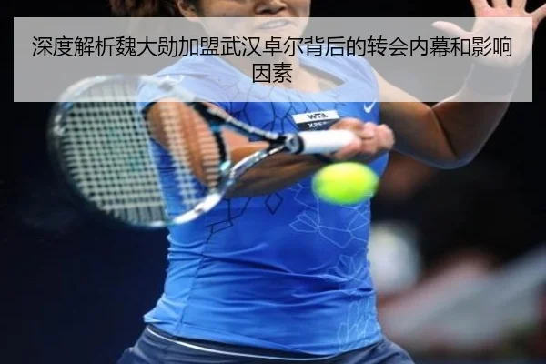 深度解析魏大勋加盟武汉卓尔背后的转会内幕和影响因素